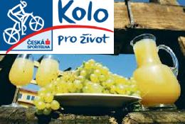 Burčák Tour ve Znojmě s Datatag